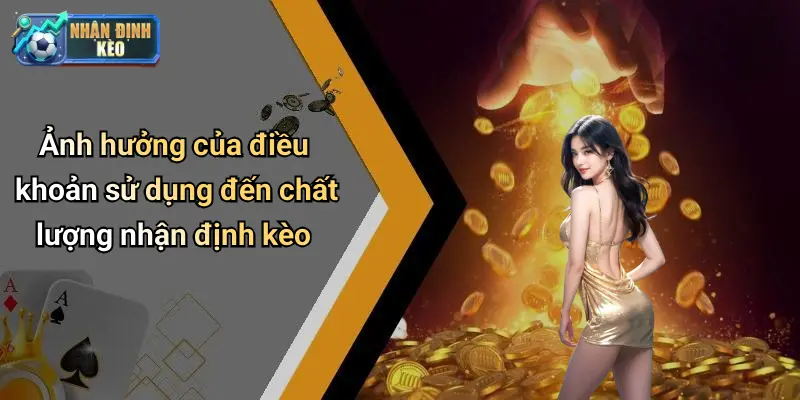 Ảnh hưởng của điều khoản sử dụng đến chất lượng nhận định kèo
