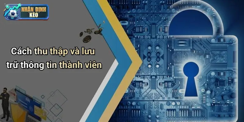 Cách thu thập và lưu trữ thông tin thành viên