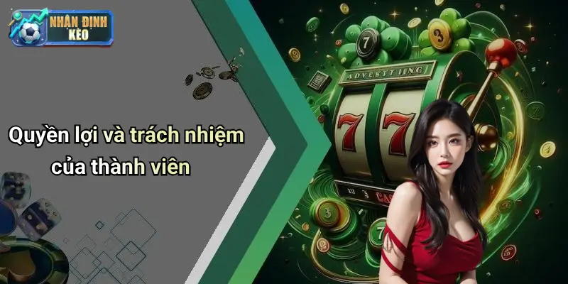 Quyền lợi và trách nhiệm của thành viên