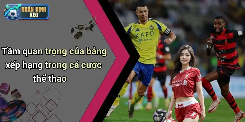 Tầm quan trọng của bảng xếp hạng trong cá cược thể thao