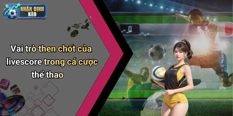 Vai trò then chốt của livescore trong cá cược thể thao