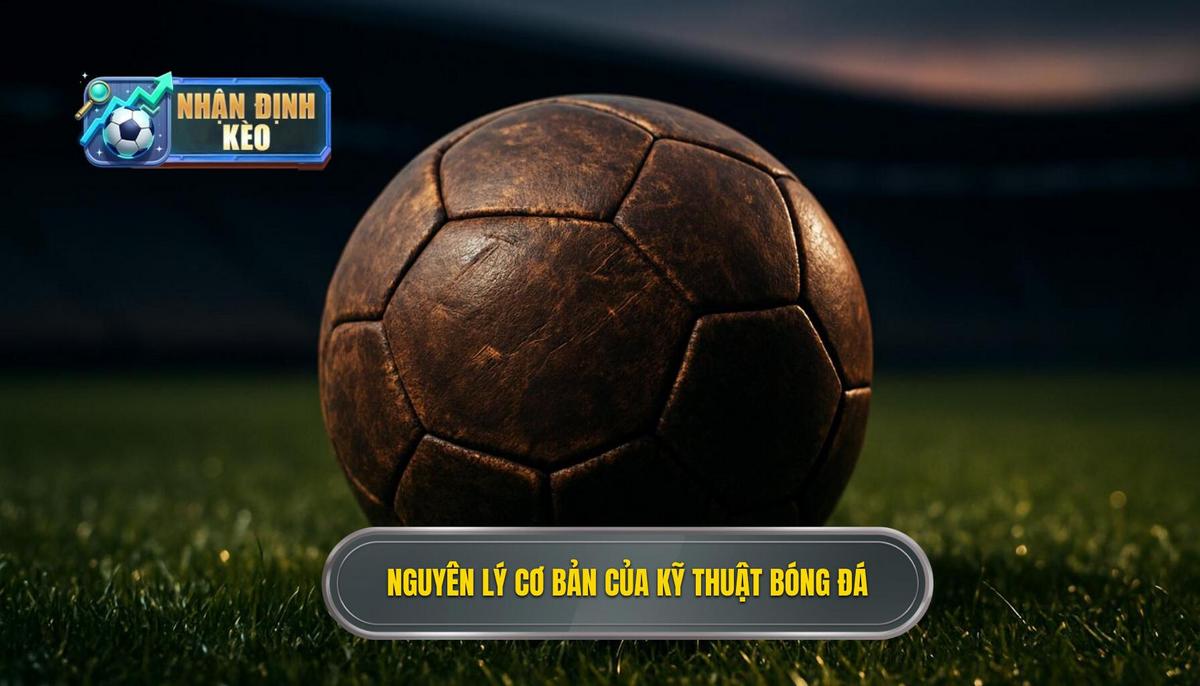 Nguyên lý cơ bản của Kỹ thuật đánh chặn bóng