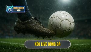 thumb - kèo live bóng đá