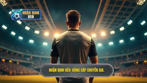 Nhận Định Kèo_ Đẳng cấp chuyên gia.