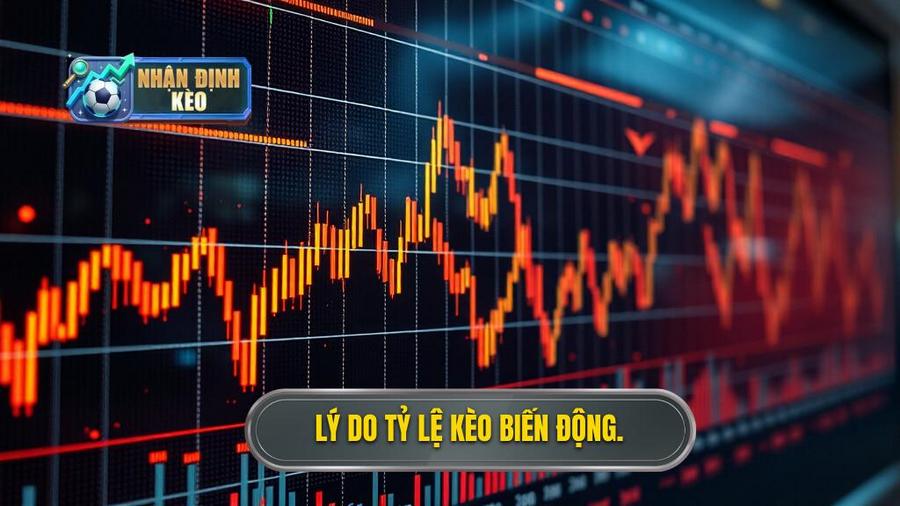 2. Tại sao tỷ lệ kèo lại biến động? Phân tích đa chiều